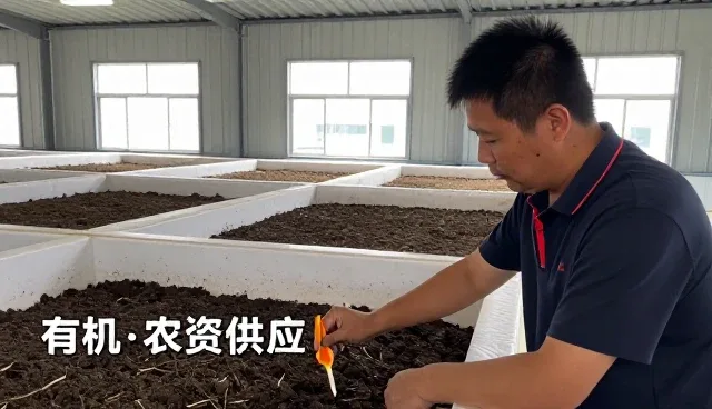 渠道供货创新推动农产品加工持续发展